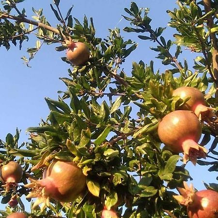 Pomegranate Seaside Corner Villa Fanárion Eksteriør billede
