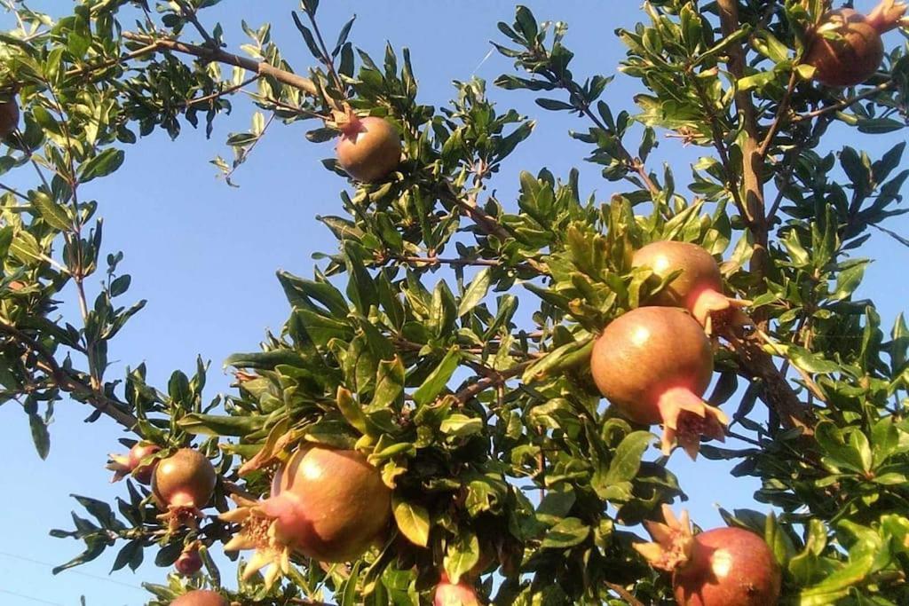 Pomegranate Seaside Corner Villa Fanárion Eksteriør billede